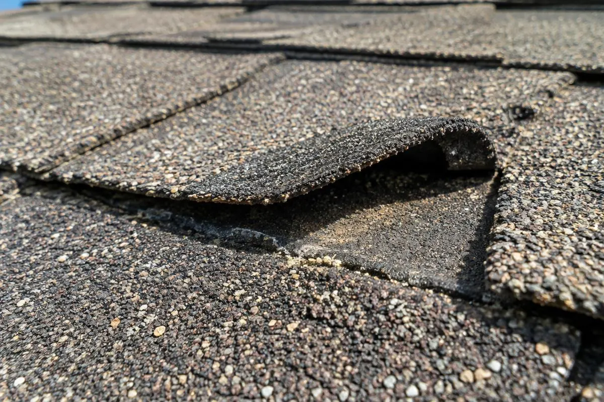 Raised and worn shingle edges