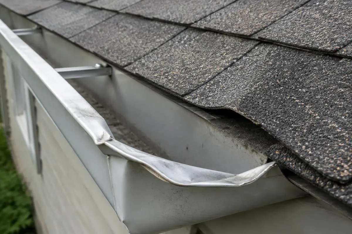 Bent gutter edge beneath adjoining shingles